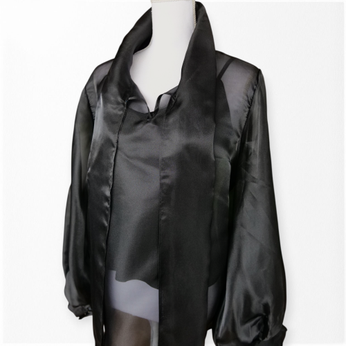 BLUSA LAZADA ORGANZA - Imagen 4